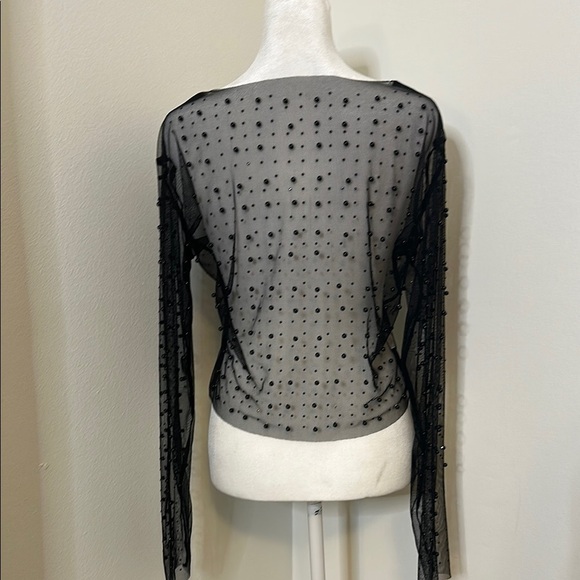 Elegant Black Sheer Top - Picture 3 of 3